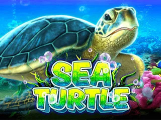 SeaTurtle